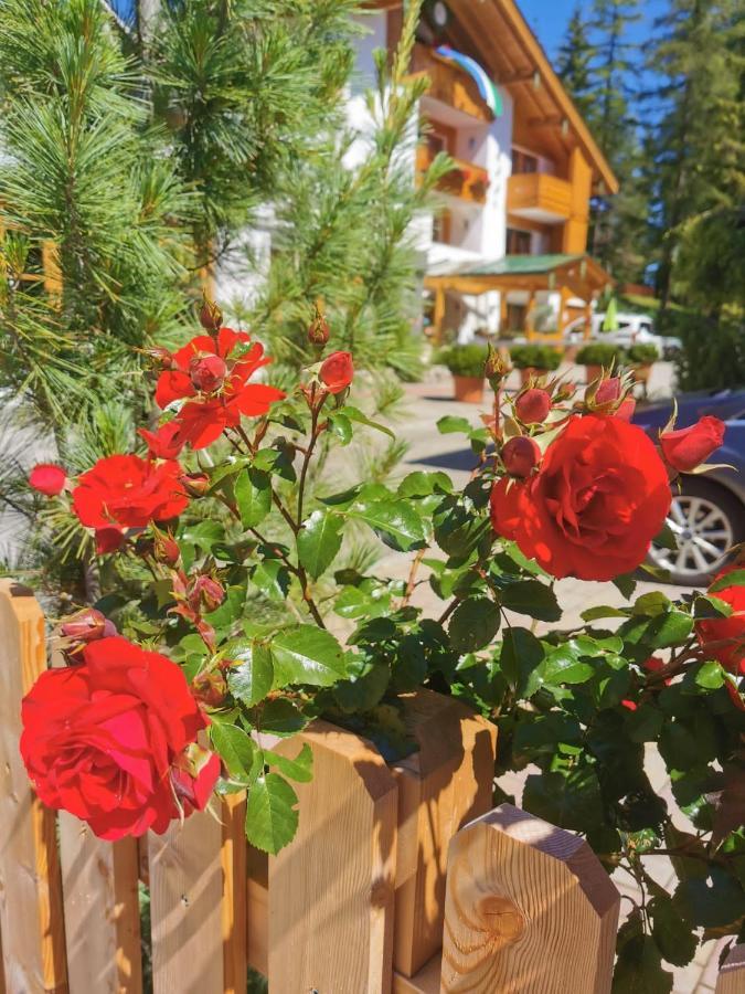B&B Tamarindo La Villa  Dış mekan fotoğraf